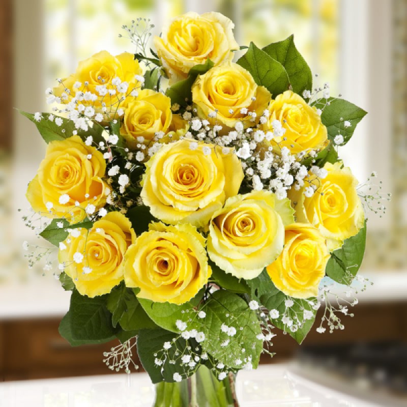 12 Rosas Amarillas – Floristería Marina